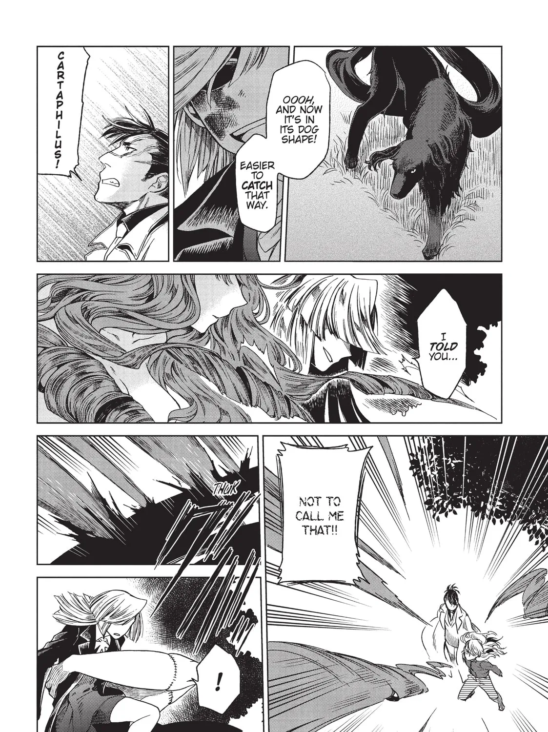 The Ancient Magus