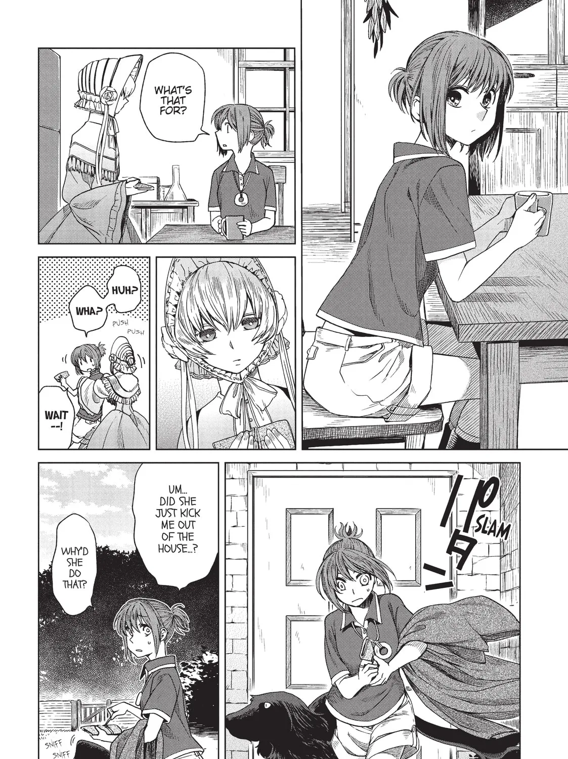 The Ancient Magus