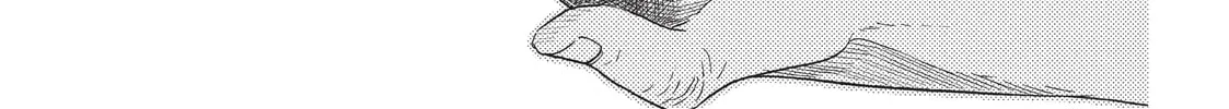 The Ancient Magus