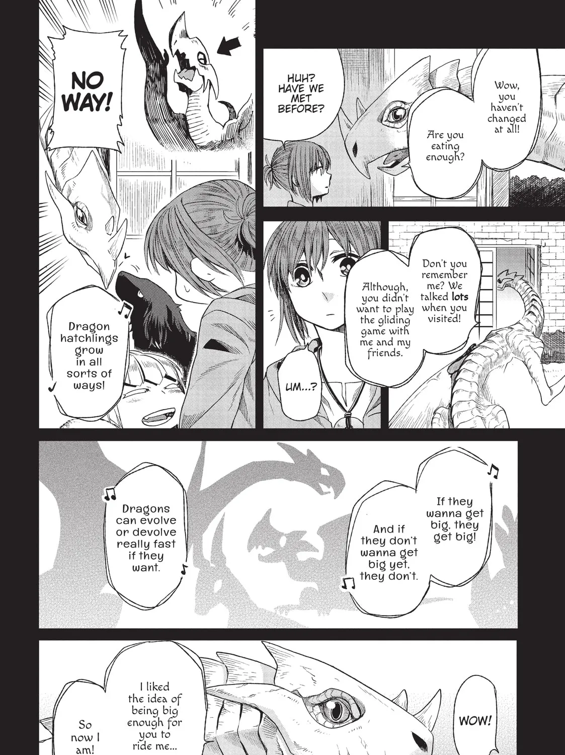 The Ancient Magus