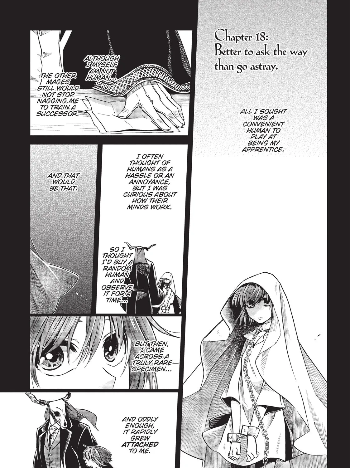 The Ancient Magus