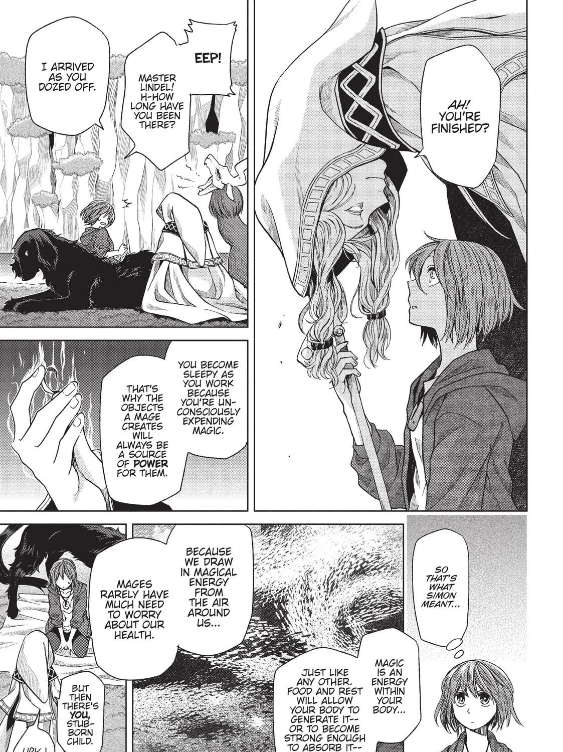 The Ancient Magus