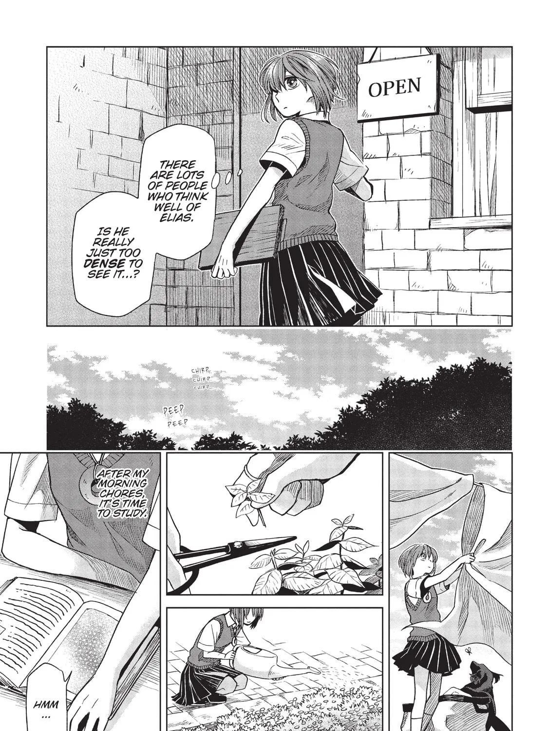 The Ancient Magus