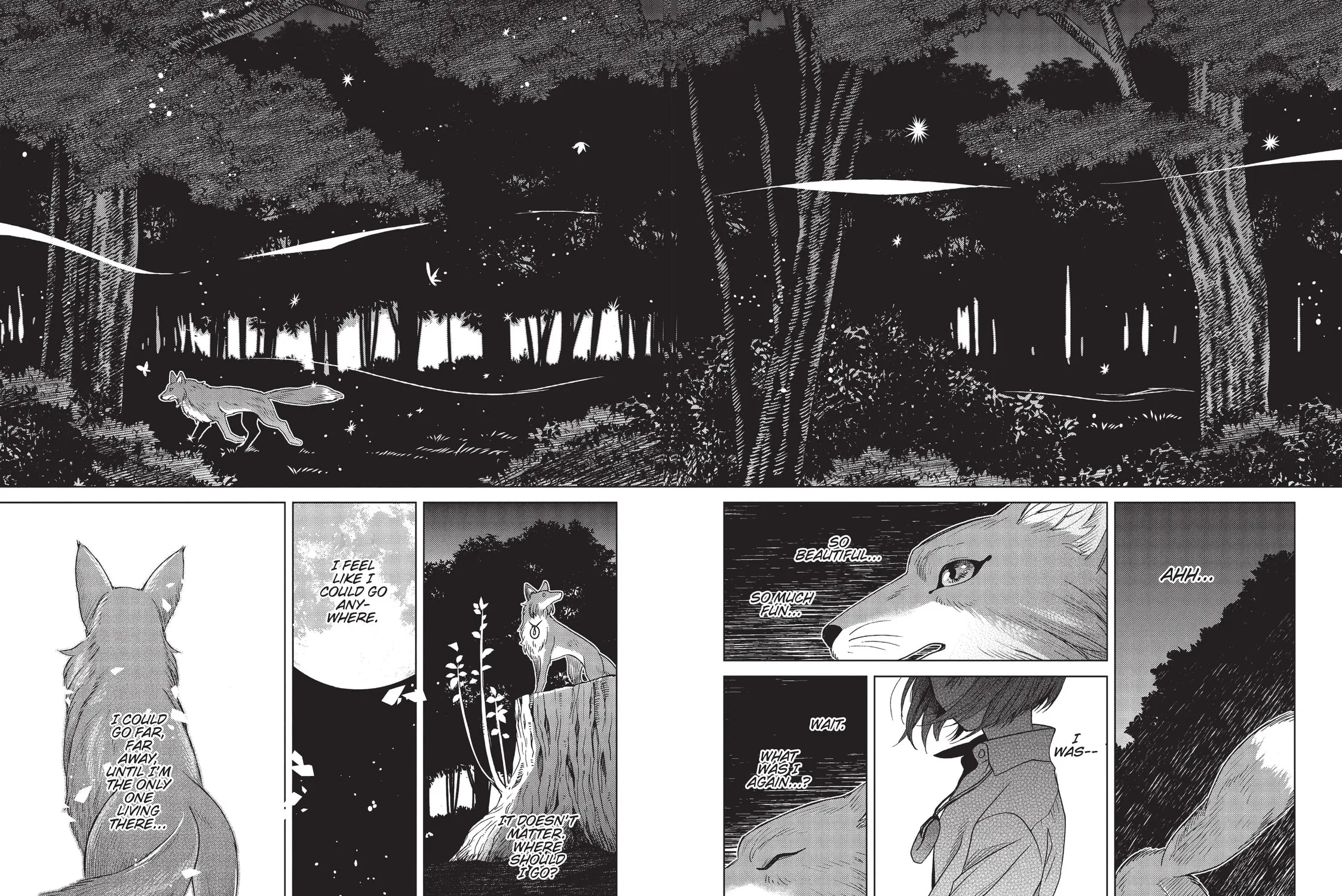 The Ancient Magus