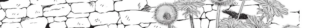 The Ancient Magus