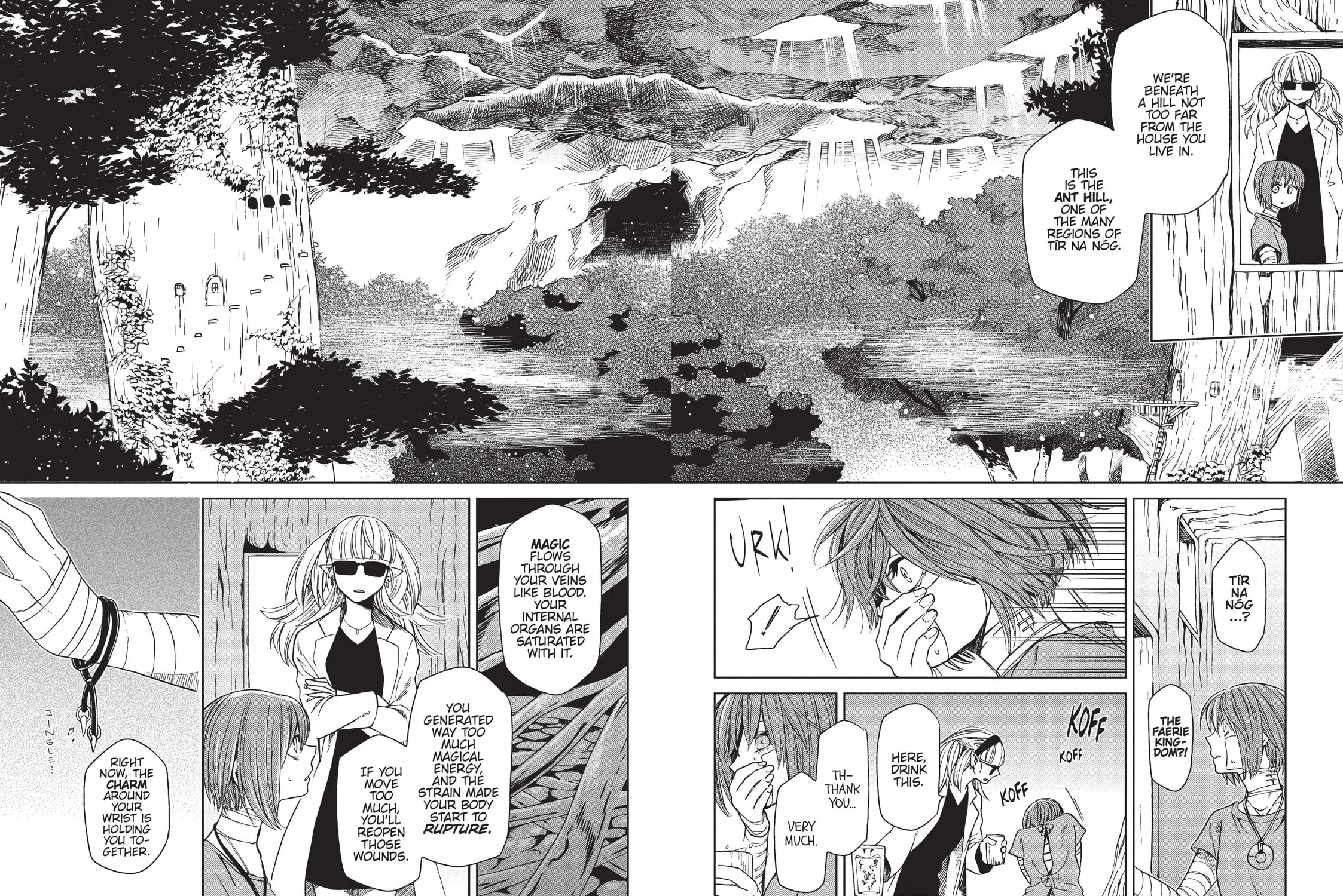 The Ancient Magus