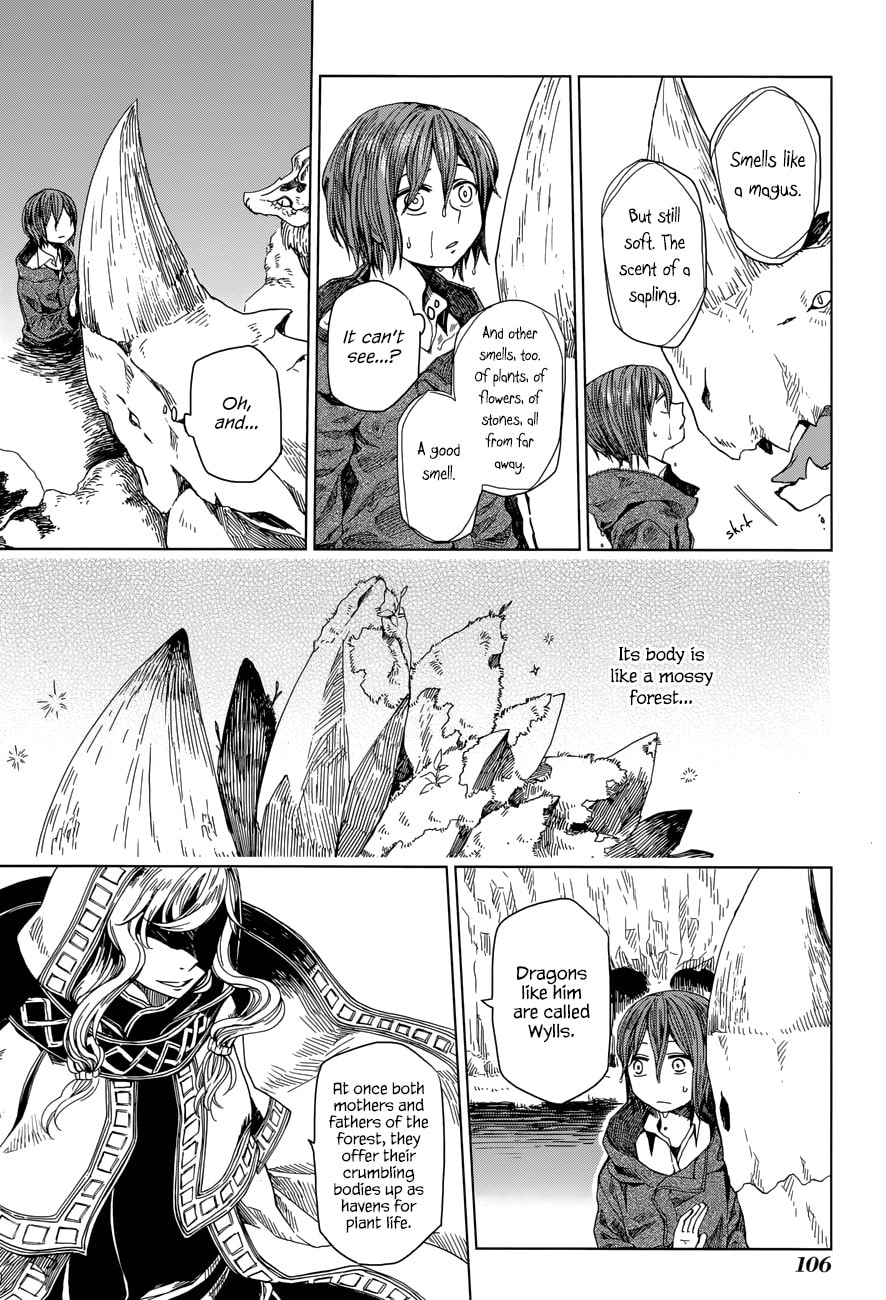 The Ancient Magus