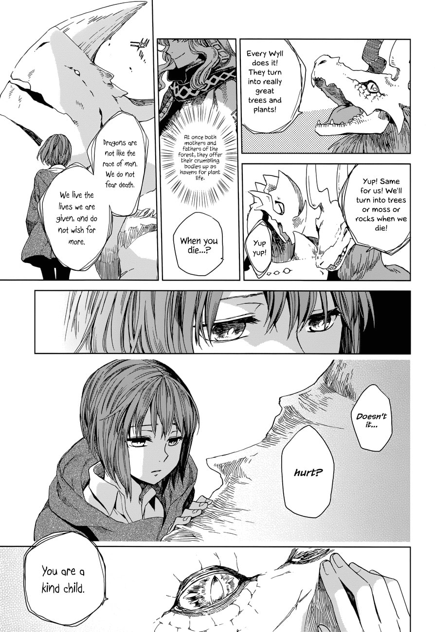 The Ancient Magus