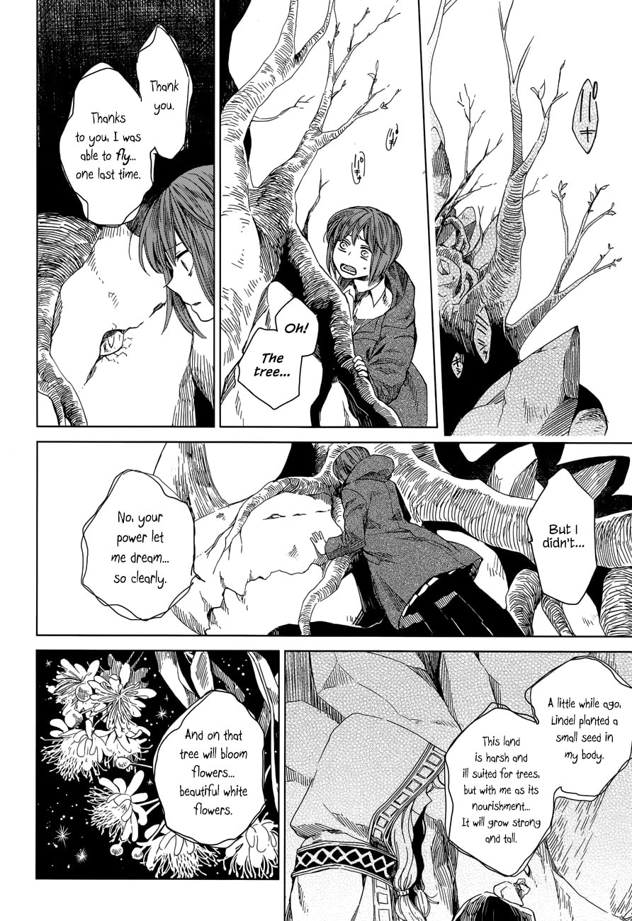 The Ancient Magus
