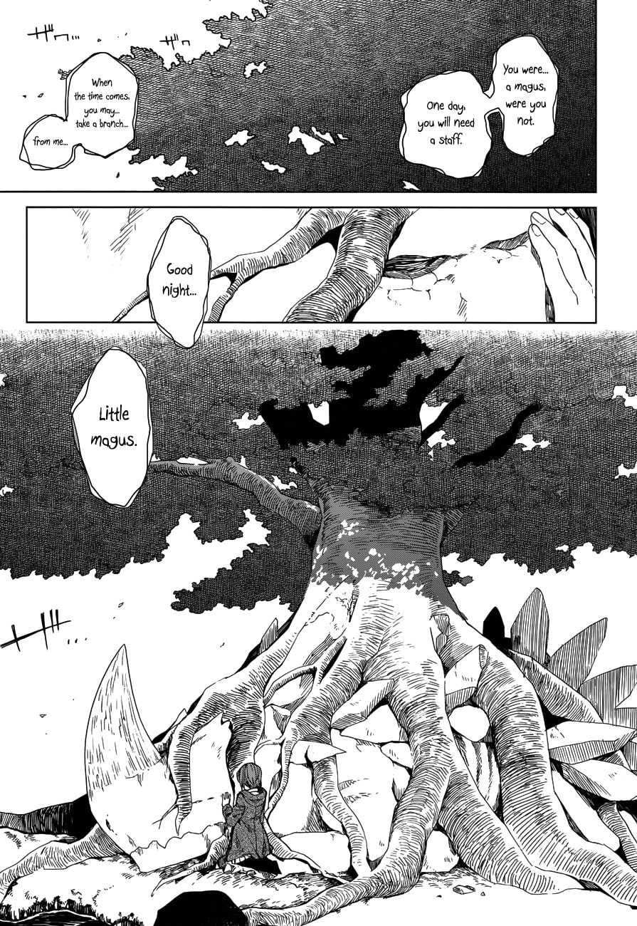 The Ancient Magus
