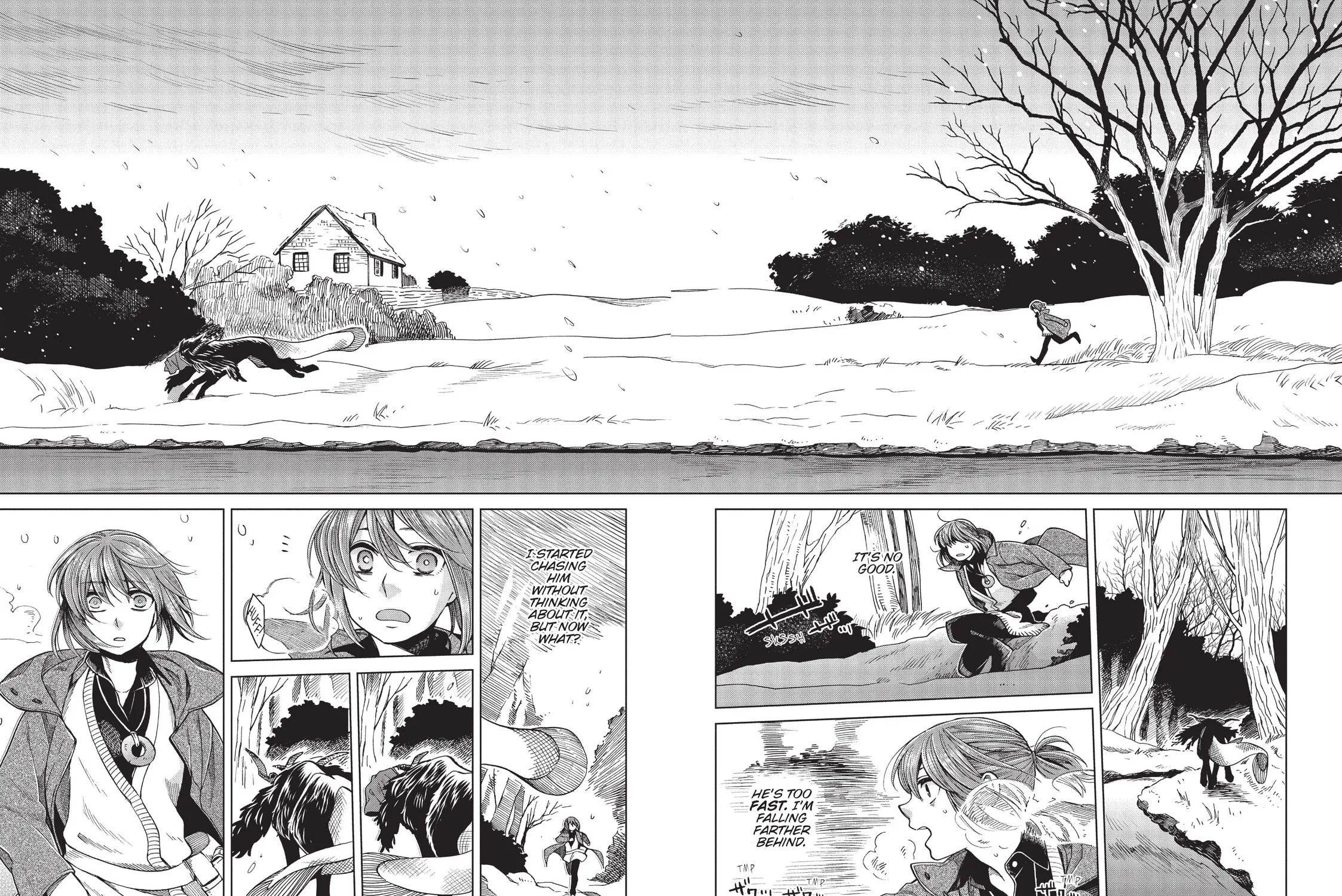 The Ancient Magus