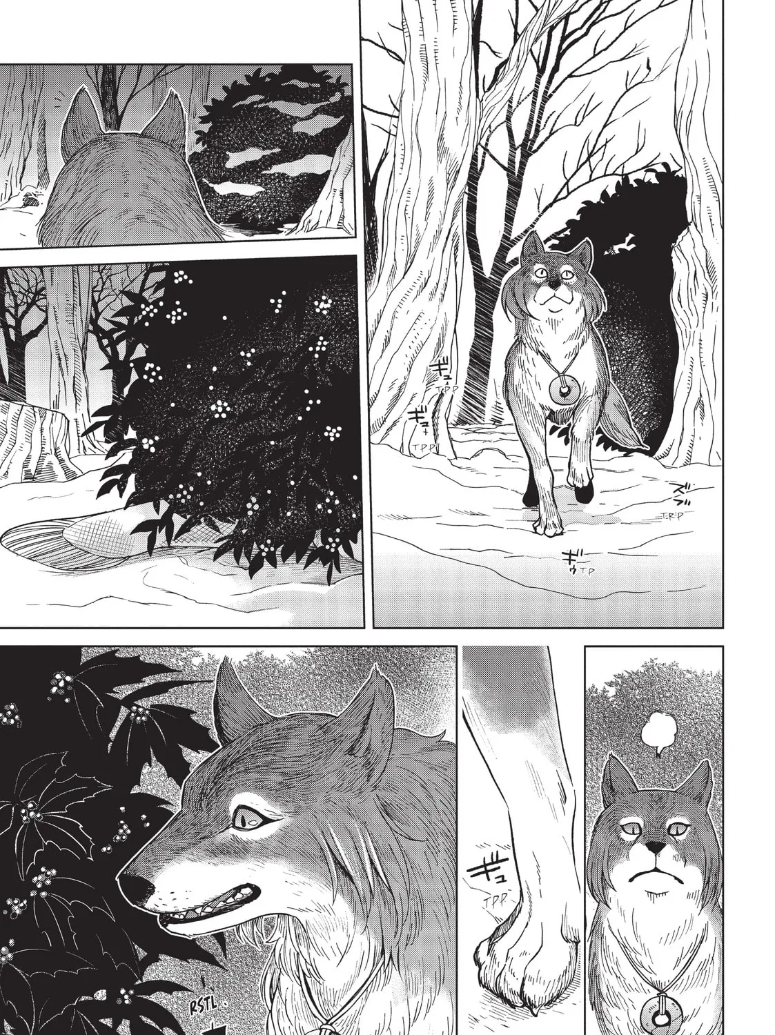 The Ancient Magus