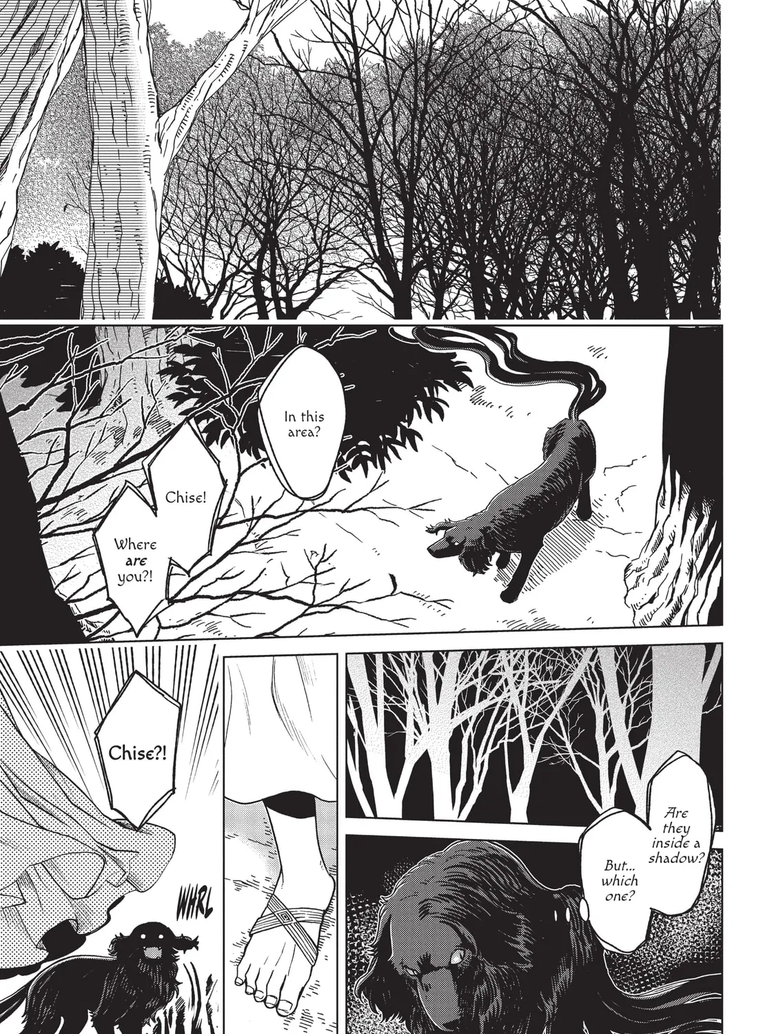 The Ancient Magus