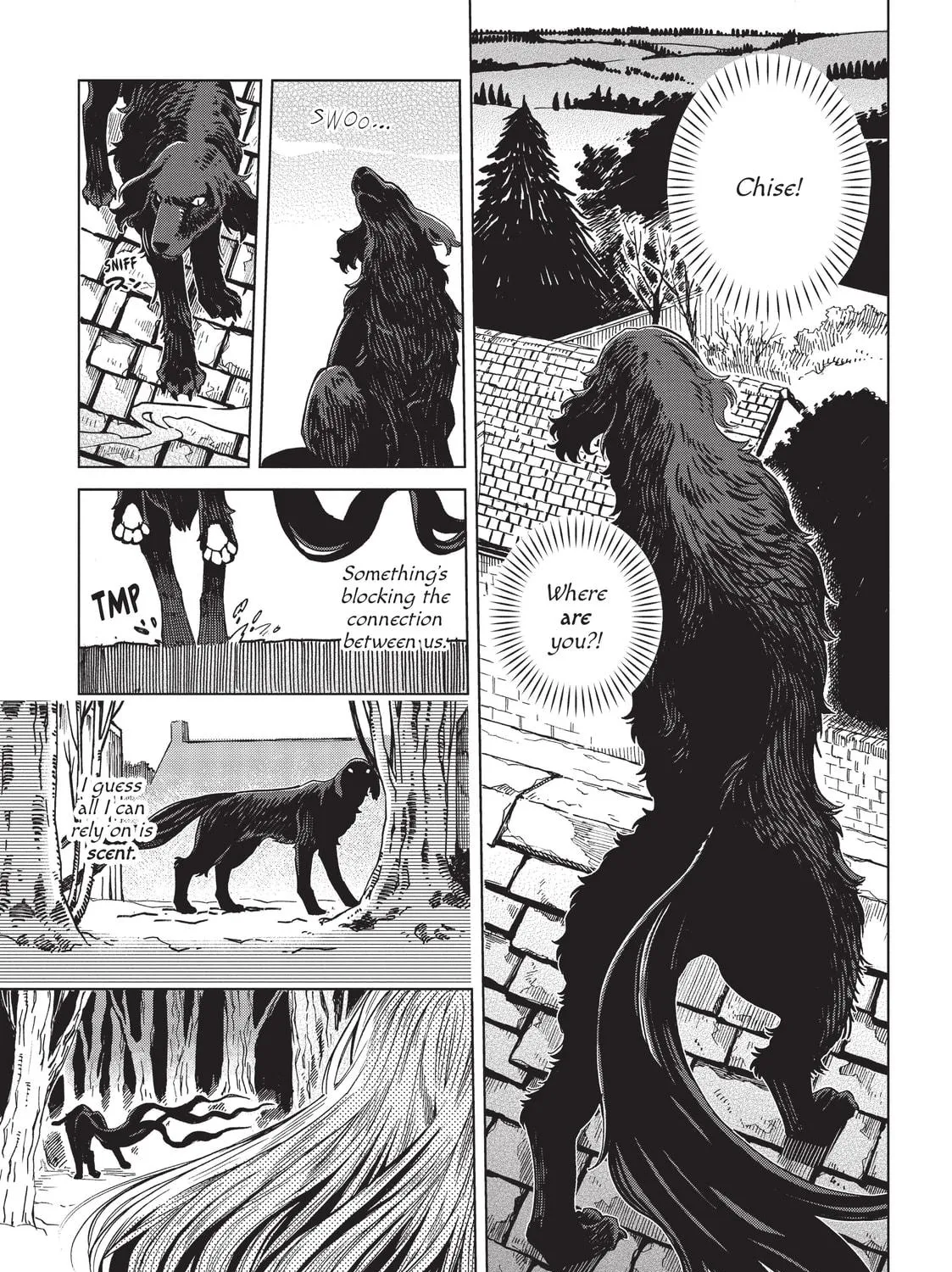 The Ancient Magus