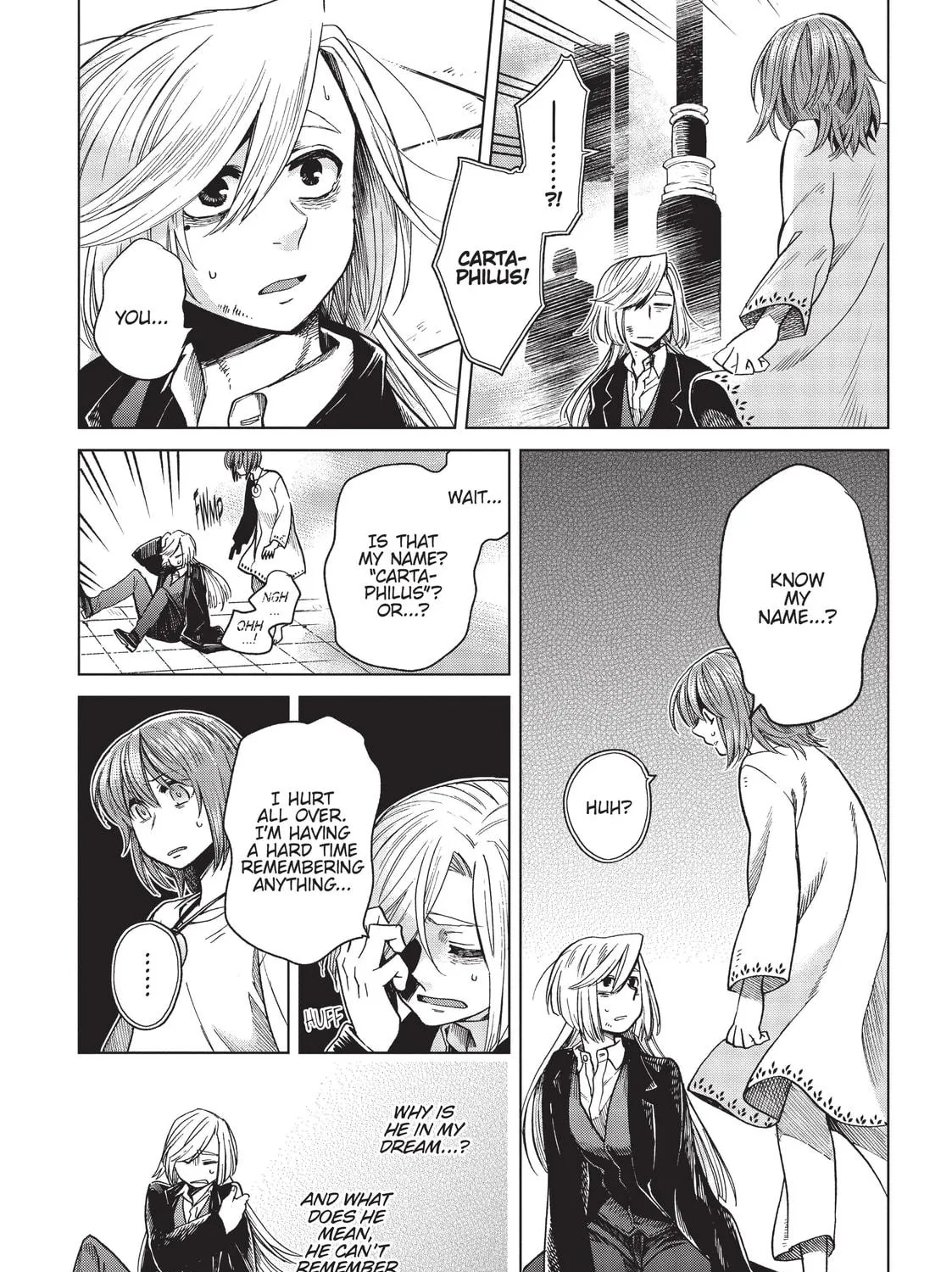 The Ancient Magus
