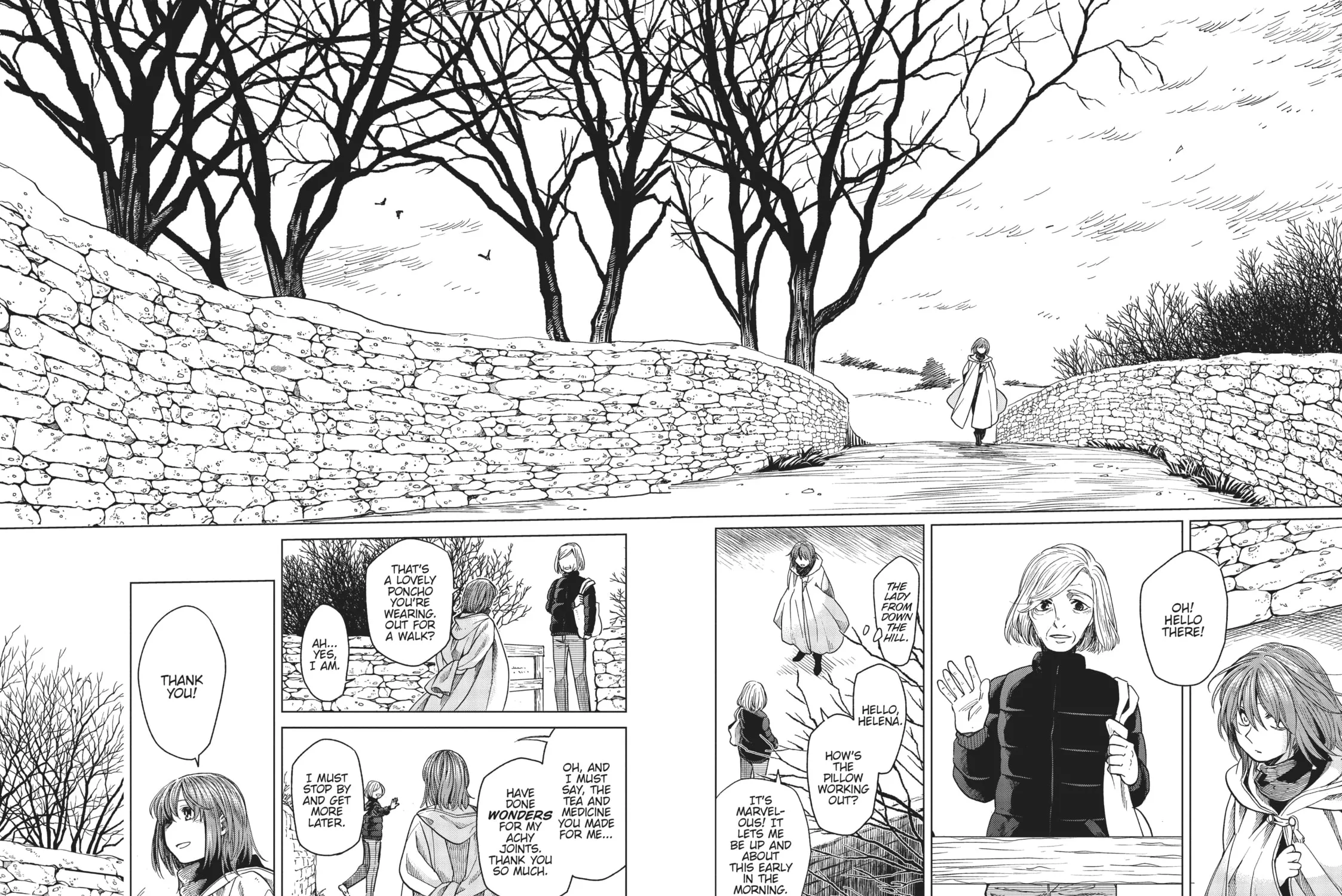 The Ancient Magus