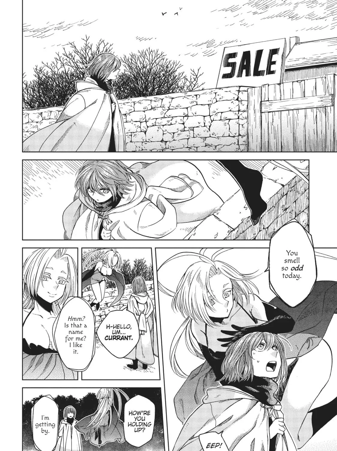 The Ancient Magus
