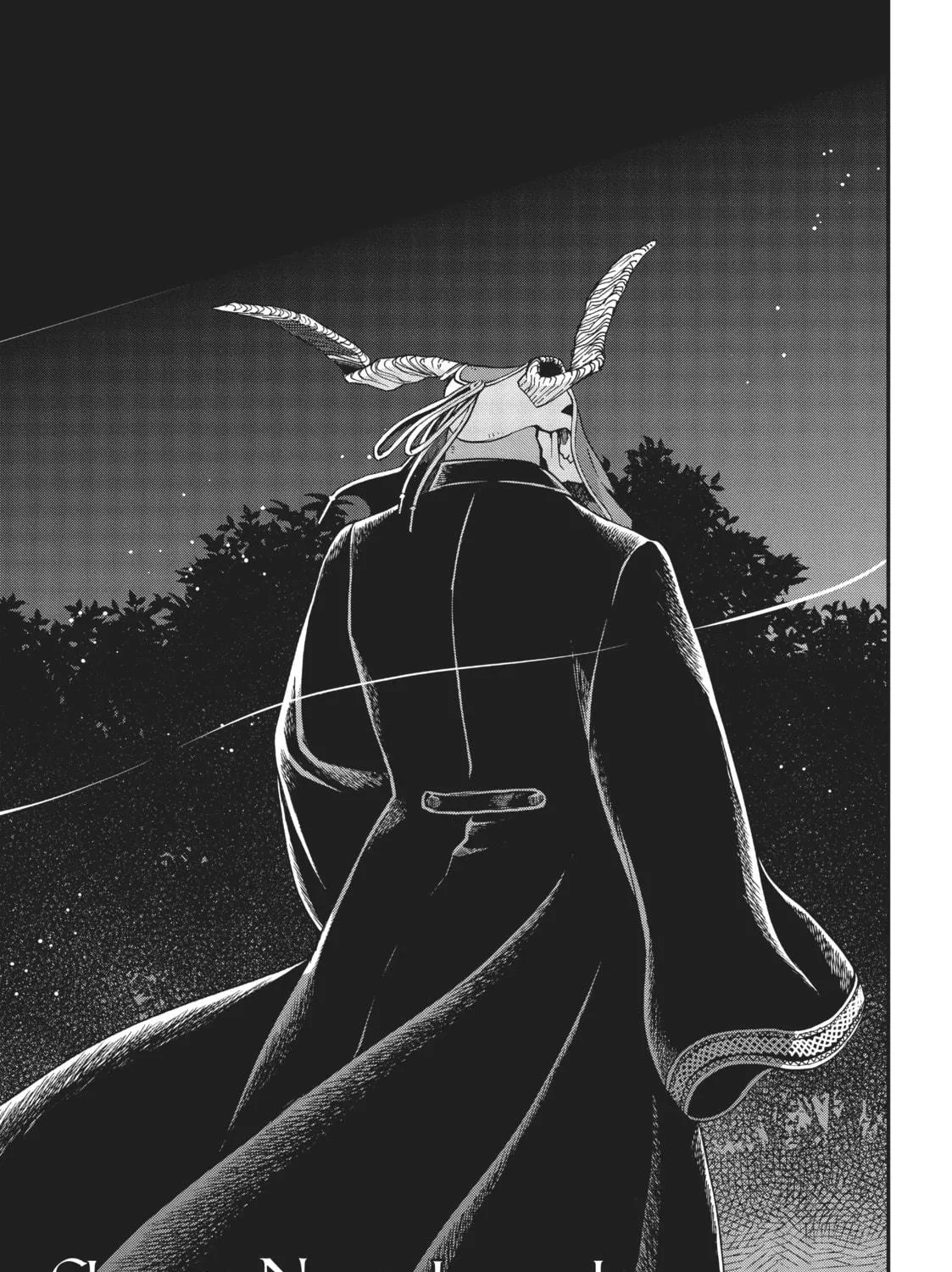 The Ancient Magus