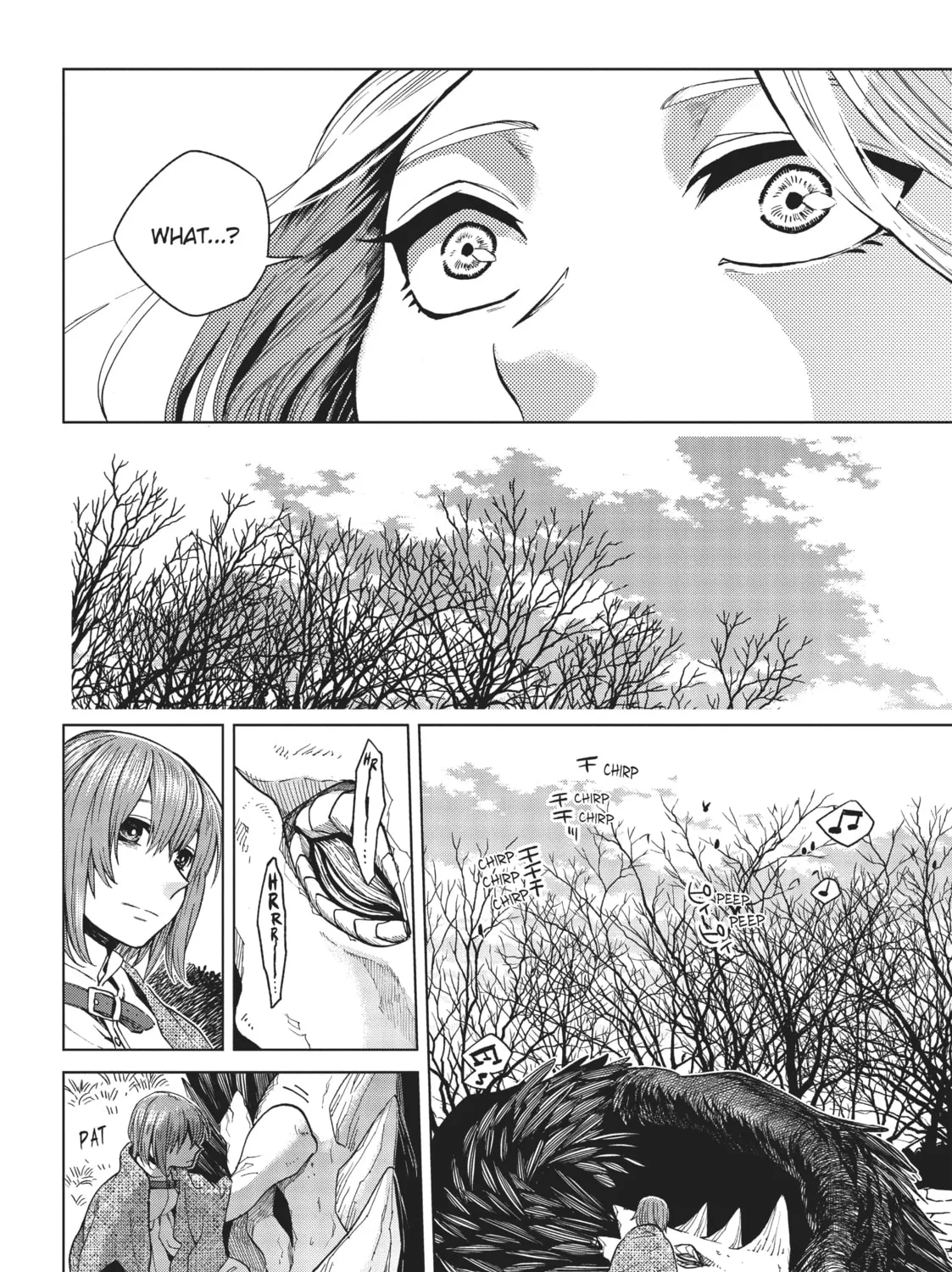The Ancient Magus