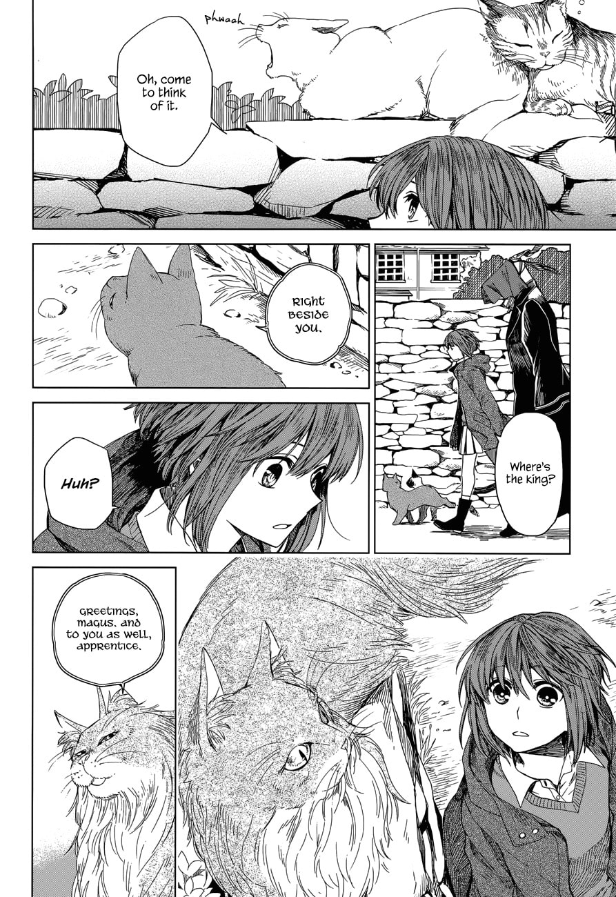 The Ancient Magus