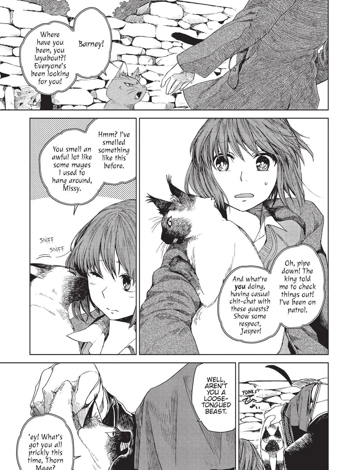 The Ancient Magus