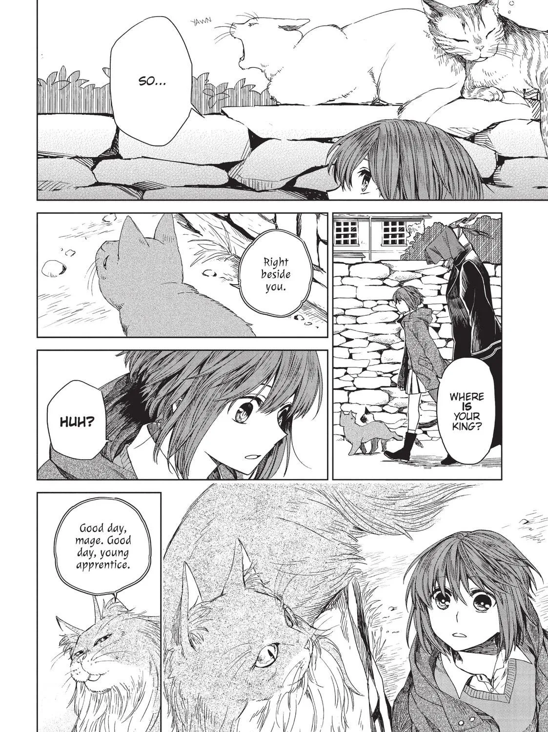 The Ancient Magus