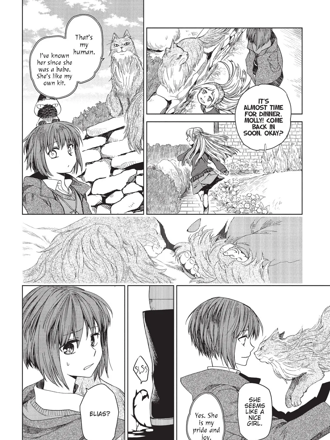The Ancient Magus