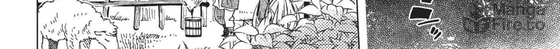 The Ancient Magus