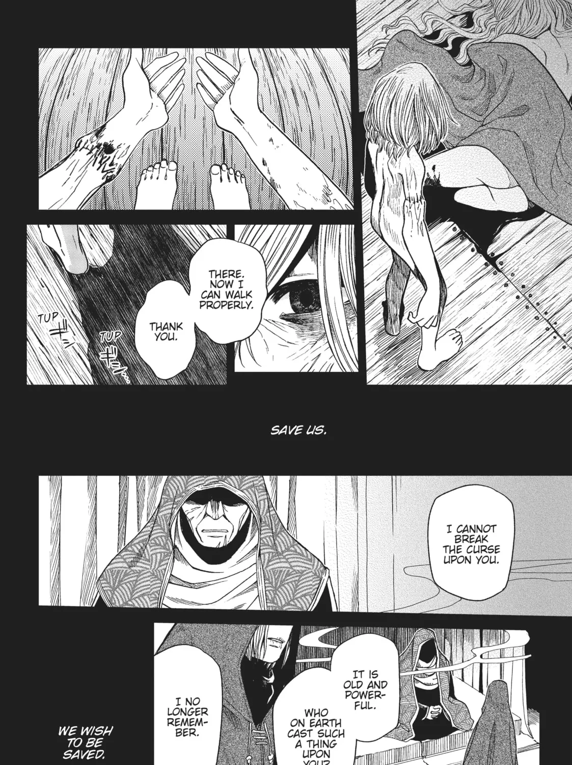 The Ancient Magus