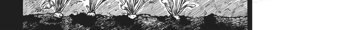 The Ancient Magus