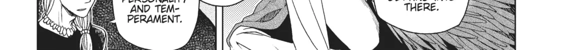 The Ancient Magus