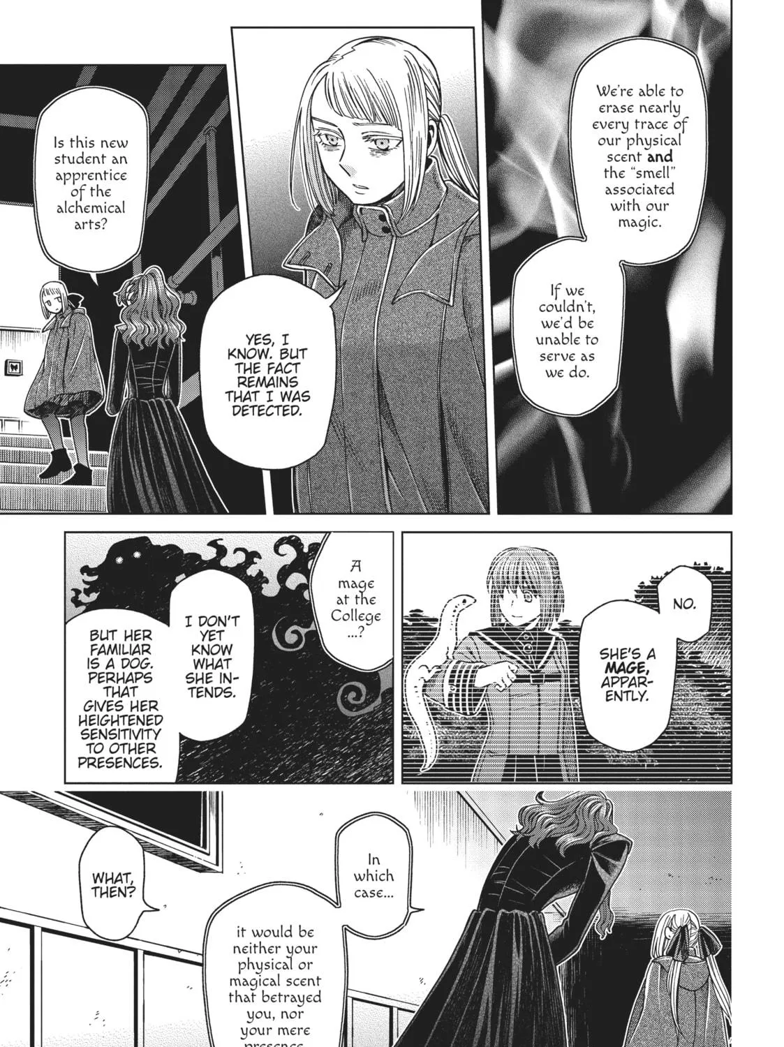 The Ancient Magus