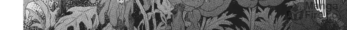 The Ancient Magus