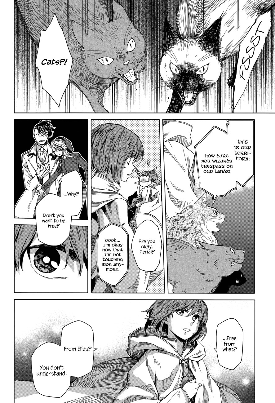 The Ancient Magus