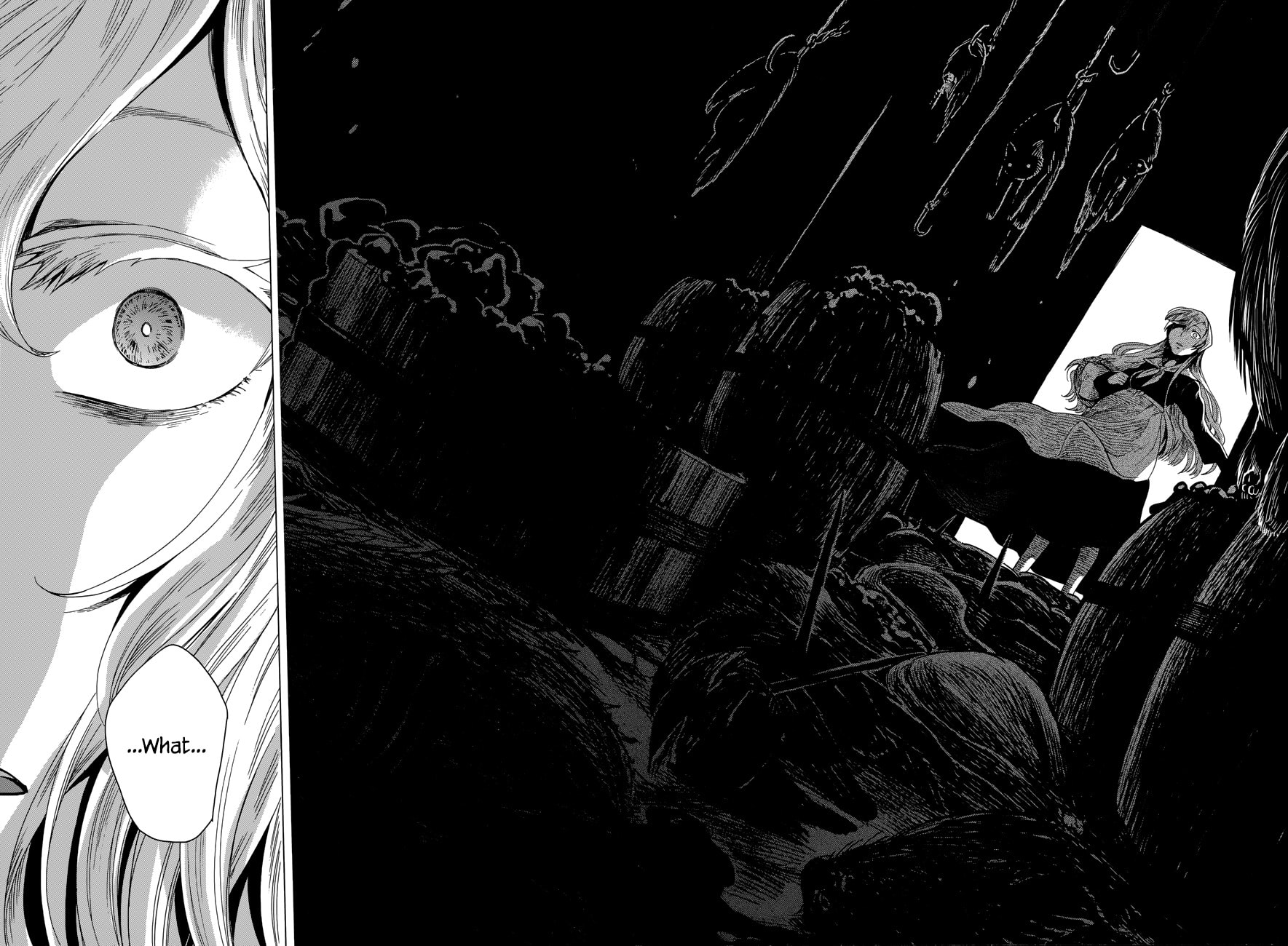 The Ancient Magus