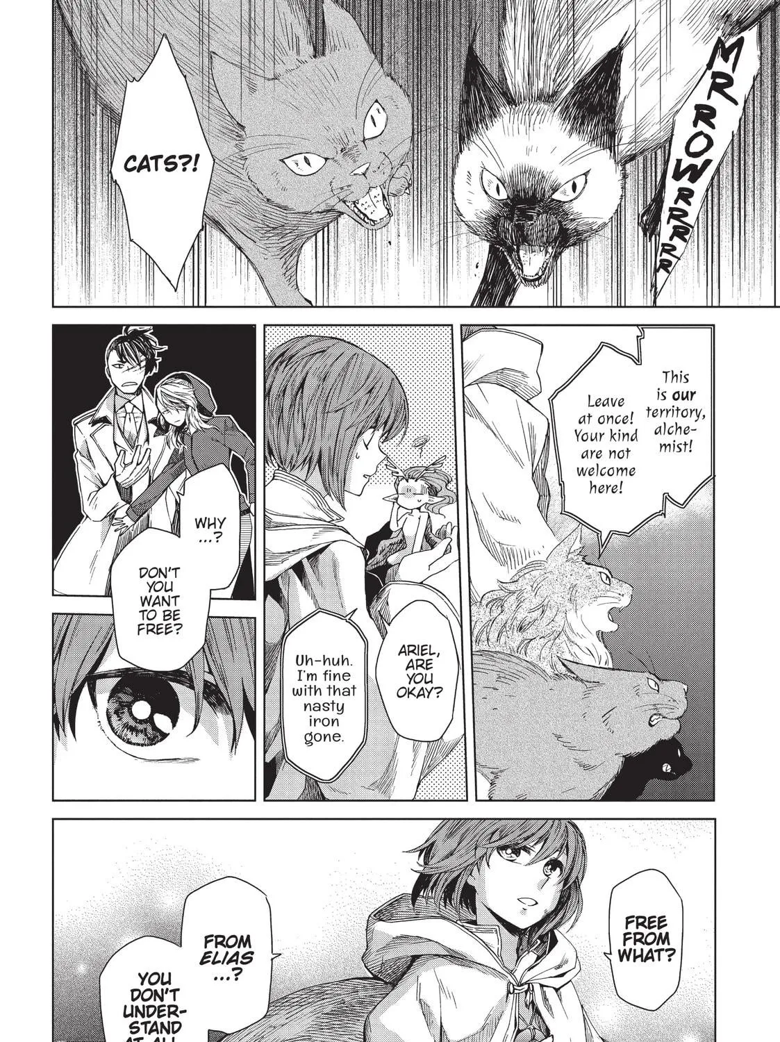 The Ancient Magus