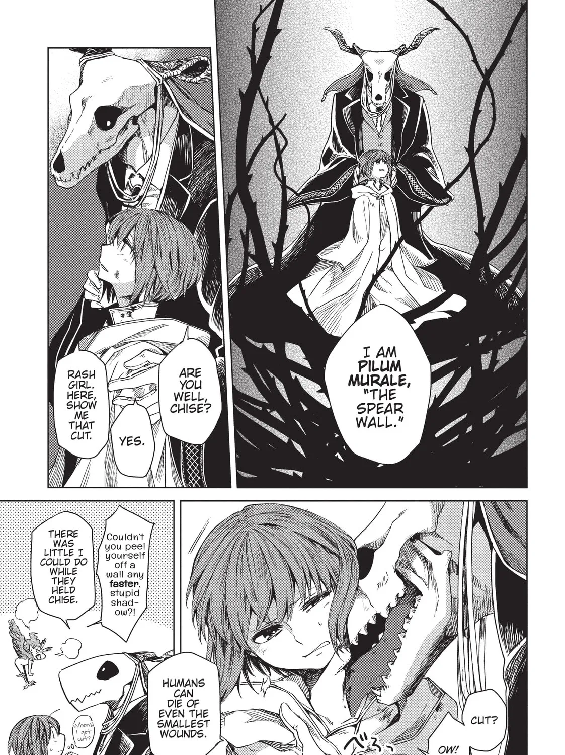 The Ancient Magus