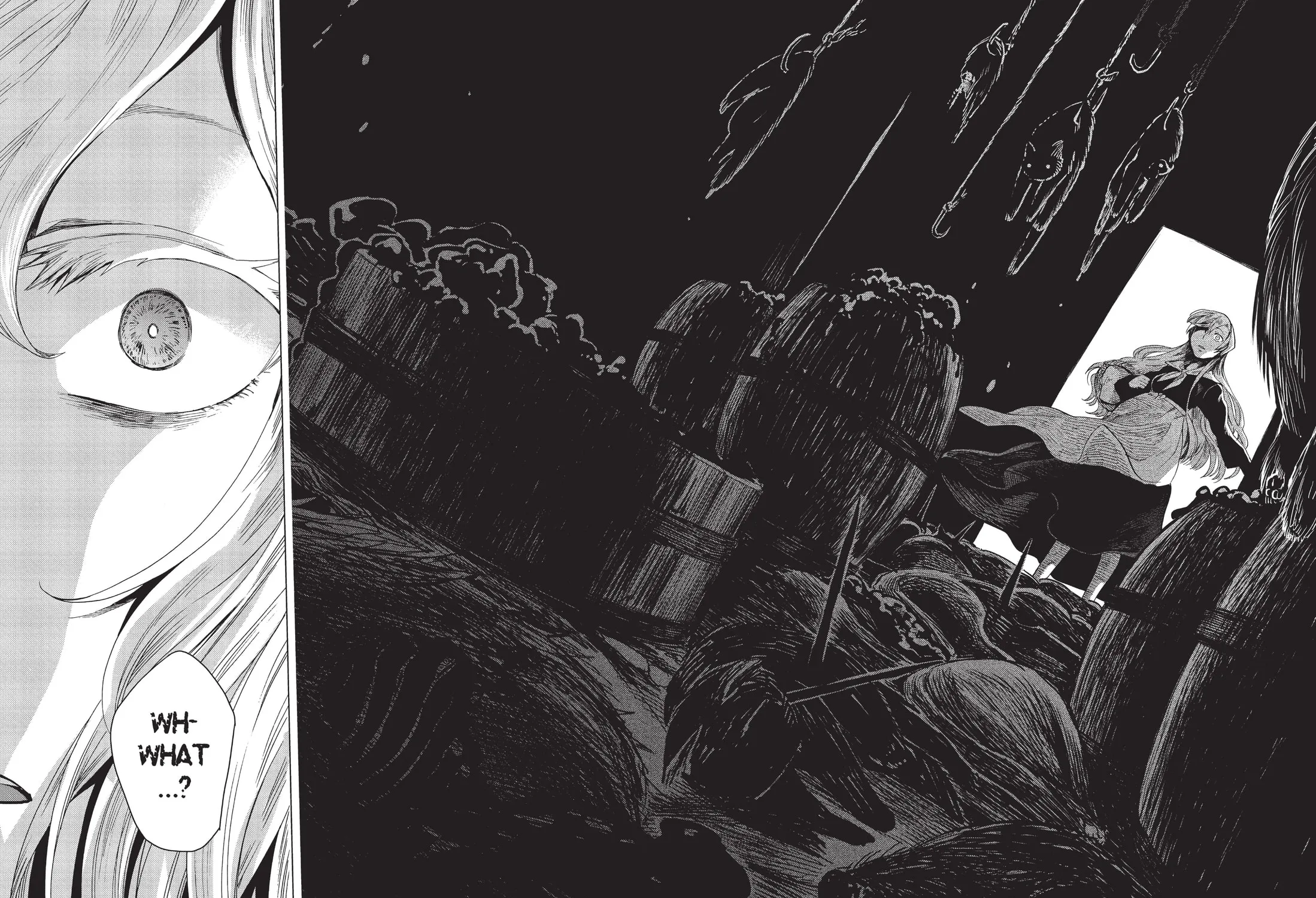 The Ancient Magus