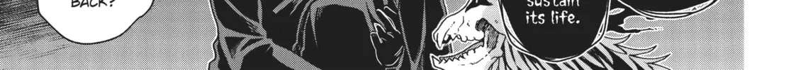 The Ancient Magus