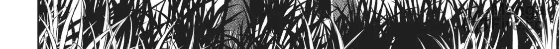 The Ancient Magus