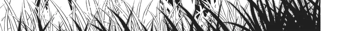 The Ancient Magus