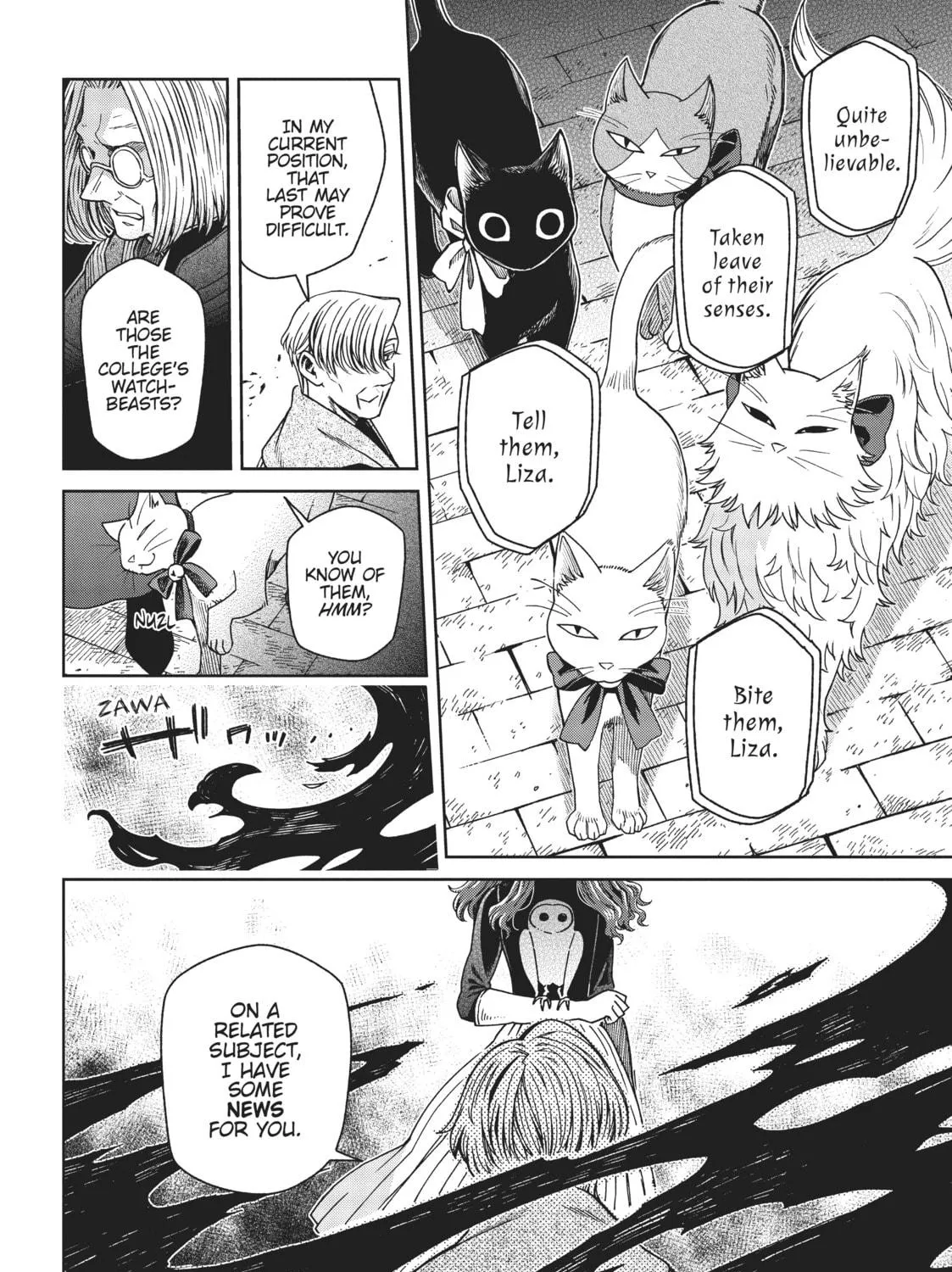 The Ancient Magus