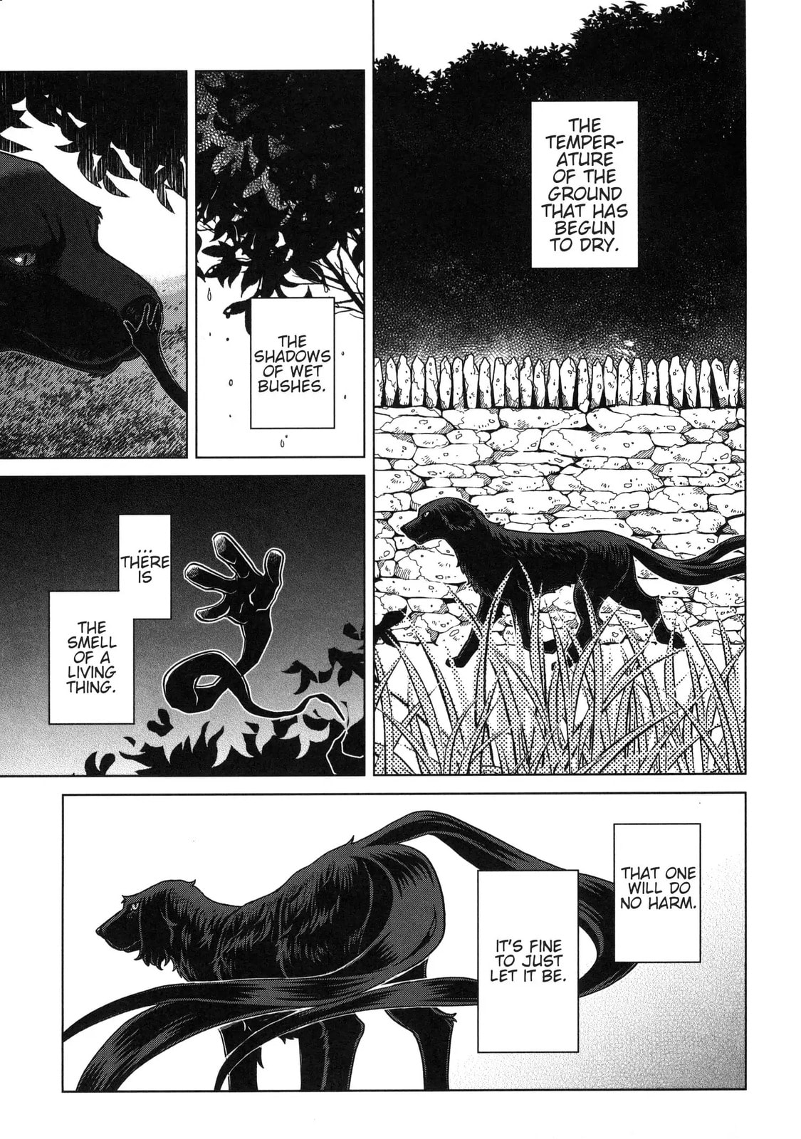 The Ancient Magus