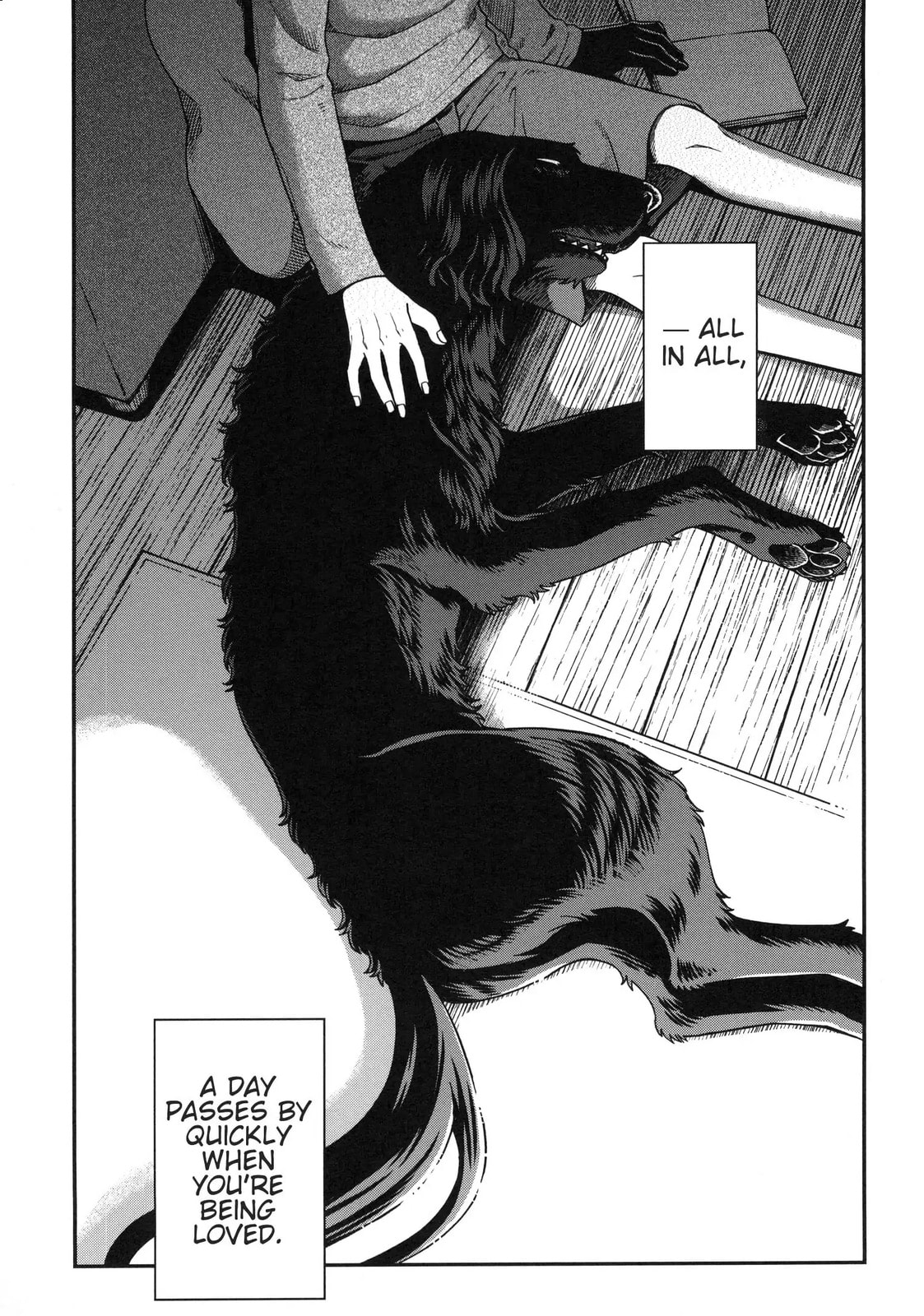 The Ancient Magus