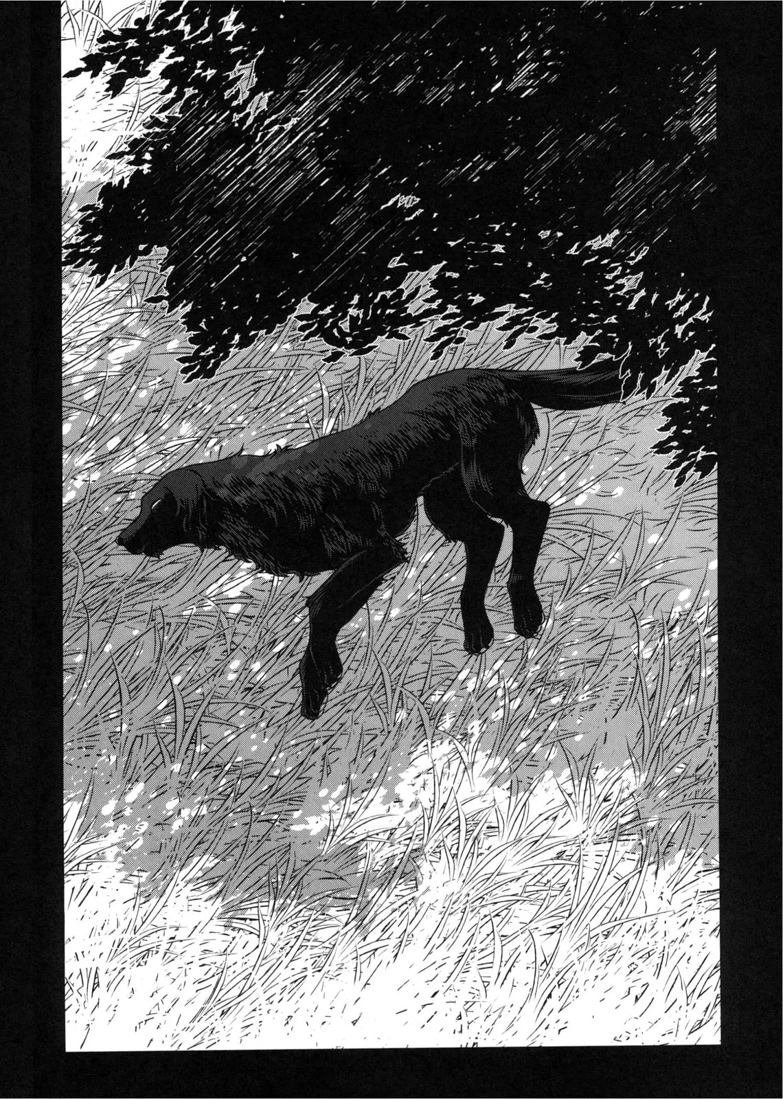 The Ancient Magus