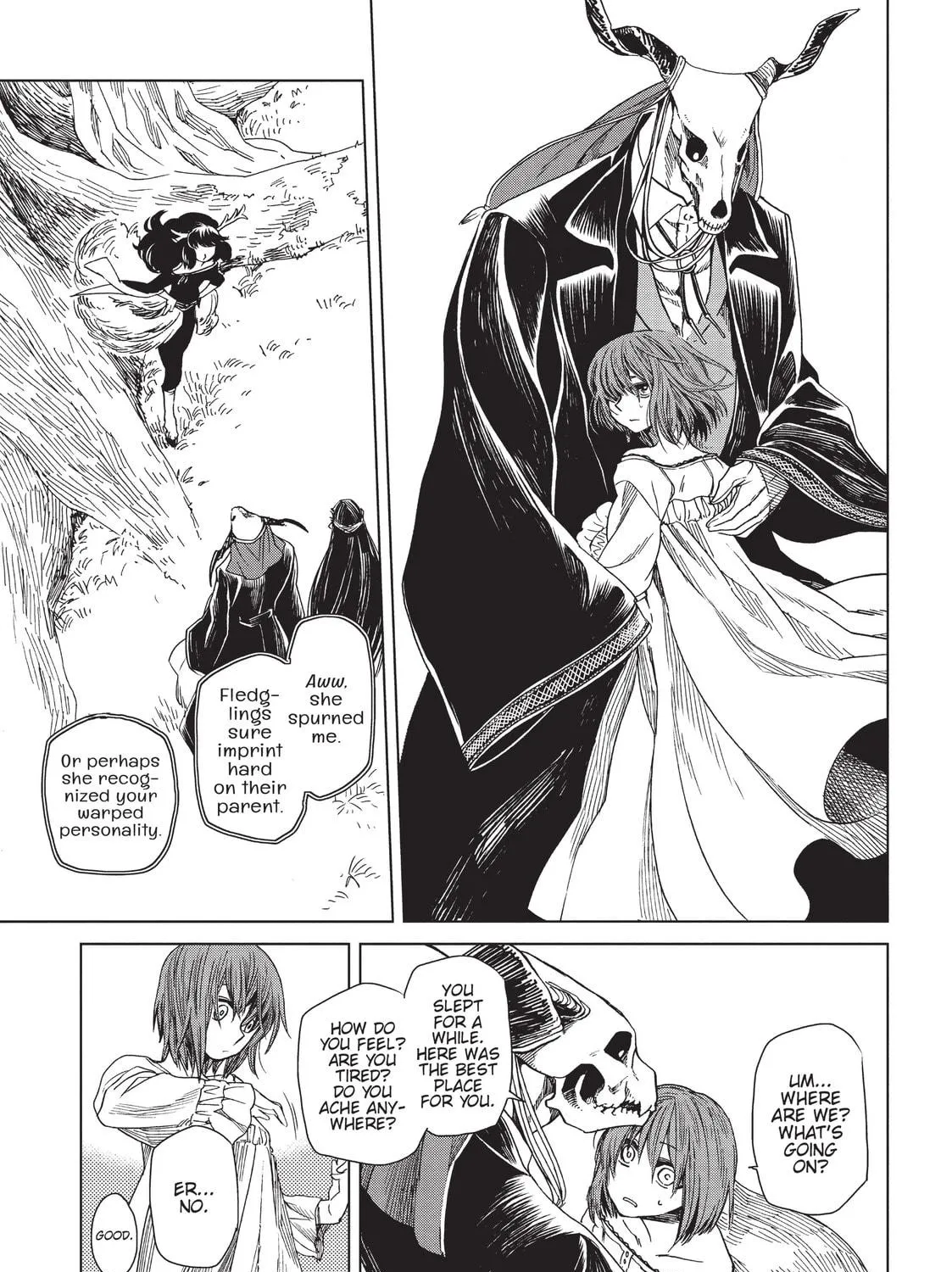 The Ancient Magus