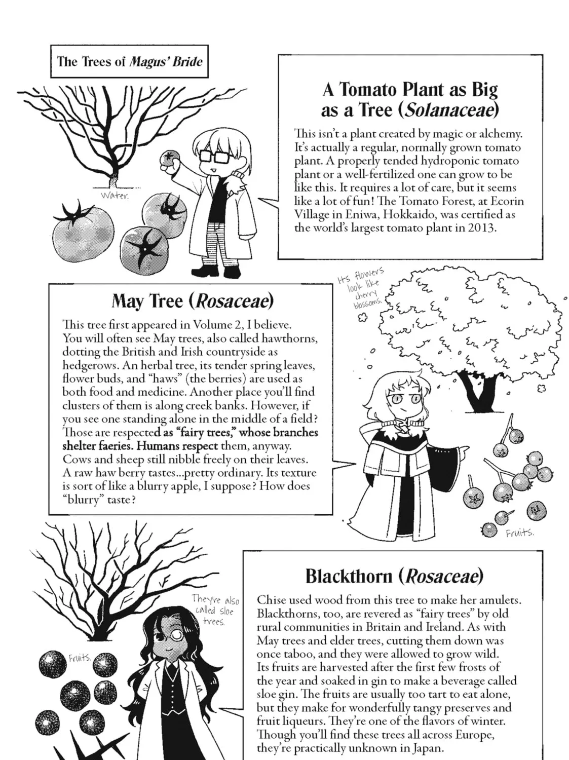 The Ancient Magus