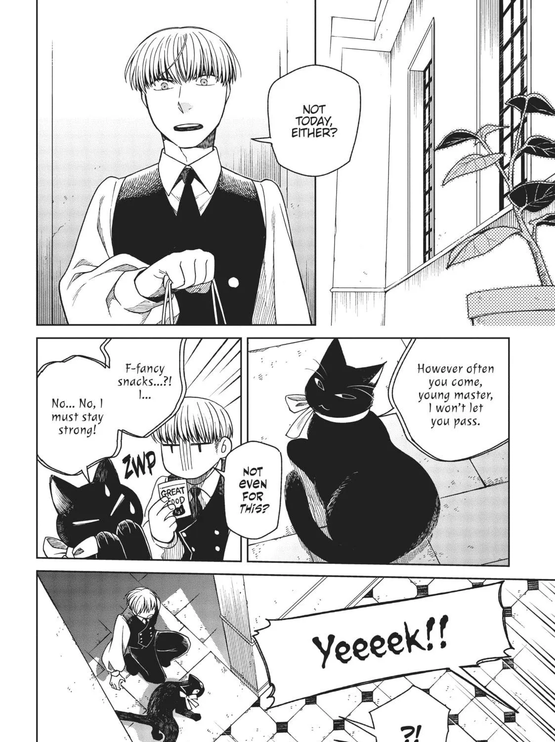 The Ancient Magus