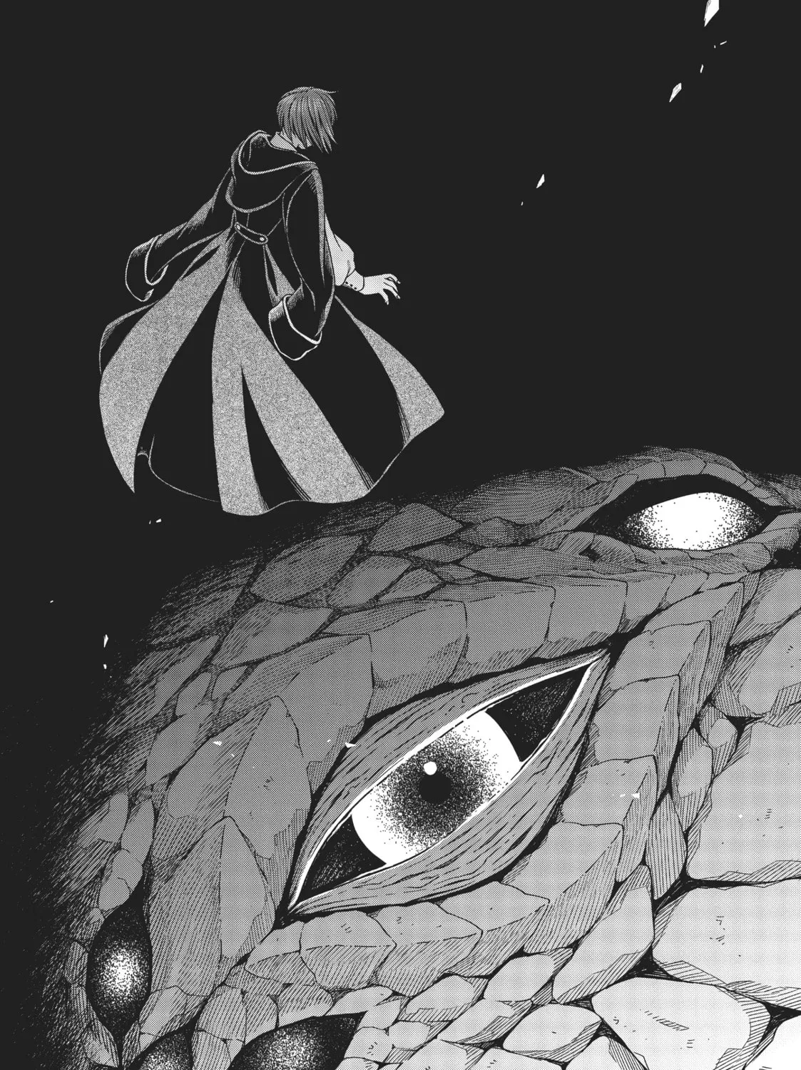 The Ancient Magus