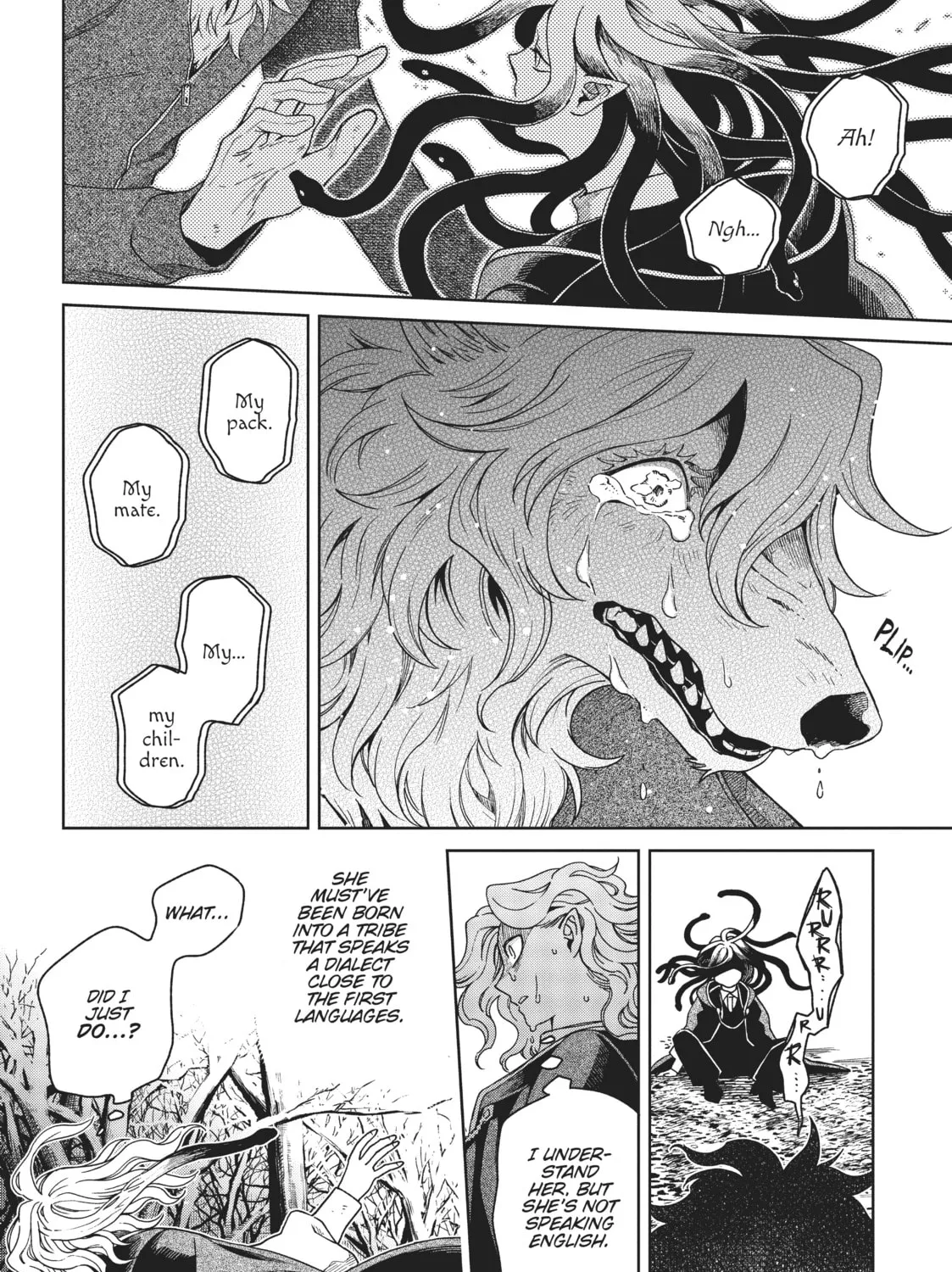 The Ancient Magus